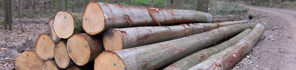 Logs